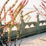 Beijing, China - Summer Palace